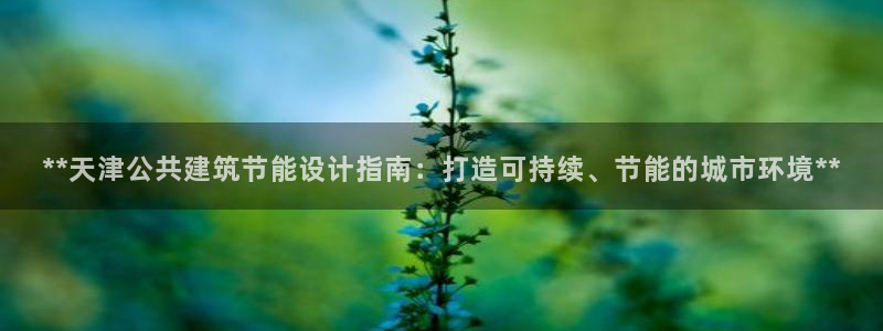 E尊国际网站：**天津公共建筑节能设计指南：打造可持续、节能的城市环境**