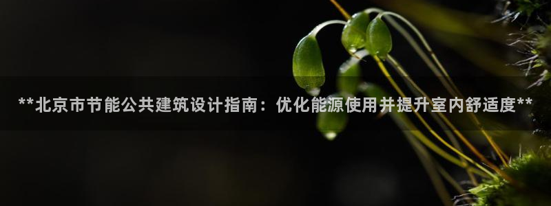 e尊国际客服：**北京市节能公共建筑设计指南：优化能源使用并提升室内舒适度**