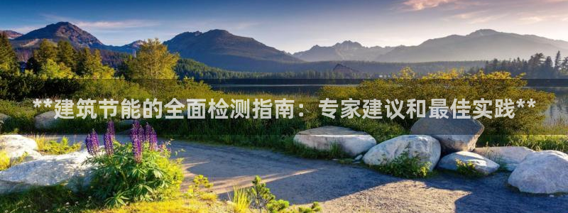 e尊国际网址：**建筑节能的全面检测指南：专家建议和最佳实践**