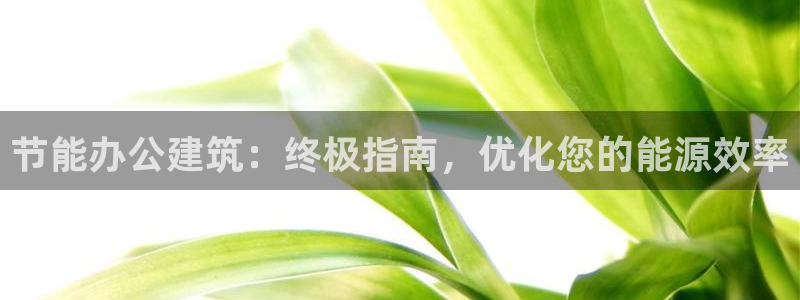 e尊国际平台：节能办公建筑：终极指南，优化您的能源效率