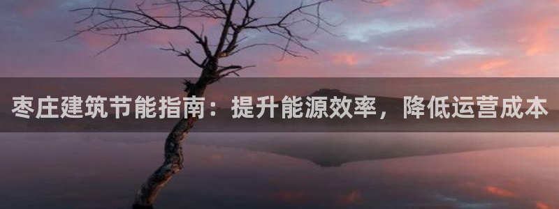 E尊国际：枣庄建筑节能指南：提升能源效率，降低运营成本