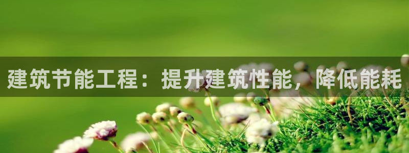 e尊国际可靠吗：建筑节能工程：提升建筑性能，降低能耗