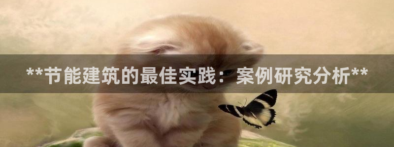 e尊官网：**节能建筑的最佳实践：案例研究分析**
