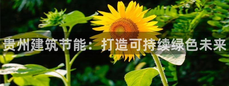 e尊国际是干什么的：贵州建筑节能：打造可持续绿色未来