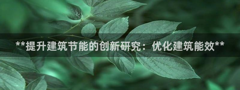 e尊国际客户端：**提升建筑节能的创新研究：优化建筑能效**