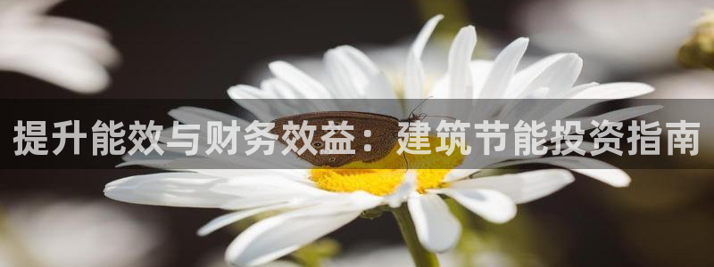 e尊官网：提升能效与财务效益：建筑节能投资指南