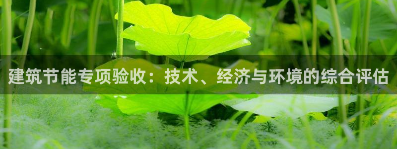 尊亿娱乐国际官网：建筑节能专项验收：技术、经济与环境的综合评估