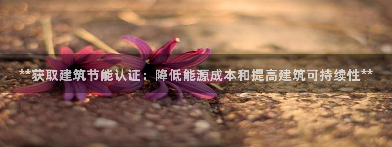 e尊国际官网：**获取建筑节能认证：降低能源成本和提高建筑可持续性**