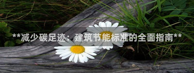 E尊国际：**减少碳足迹：建筑节能标准的全面指南**