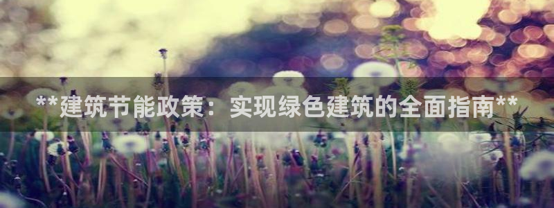 e尊国际官方网站：**建筑节能政策：实现绿色建筑的全面指南**