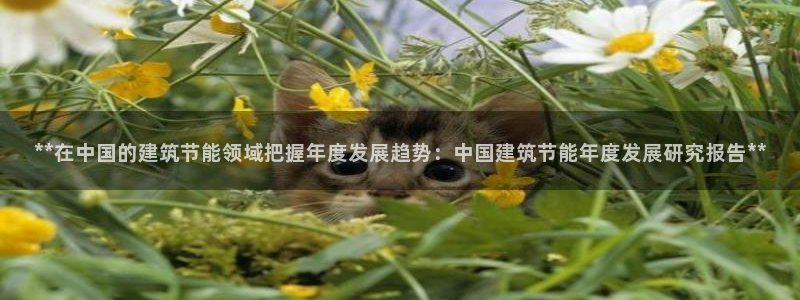e尊国际平台：**在中国的建筑节能领域把握年度发展趋势：中国建筑节能年度发展研究报告**