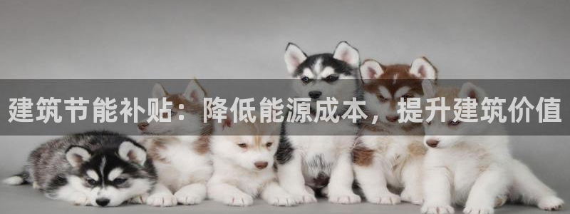 e尊国际客户端下载：建筑节能补贴：降低能源成本，提升建筑价值