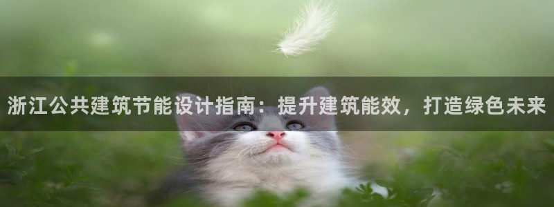 e尊国际-可可计划：浙江公共建筑节能设计指南：提升建筑能效，打造绿色未来