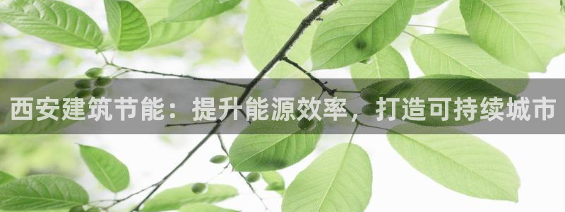 e尊平台：西安建筑节能：提升能源效率，打造可持续城市