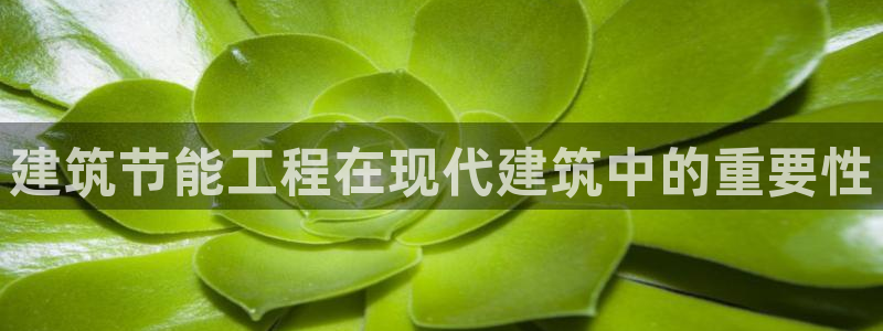 e尊国际app：建筑节能工程在现代建筑中的重要性