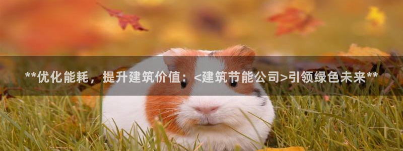 e尊国际是干什么的：**优化能耗，提升建筑价值：<建筑节能公司>引领绿色未来**