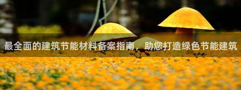 e尊国际app：最全面的建筑节能材料备案指南，助您打造绿色节能建筑