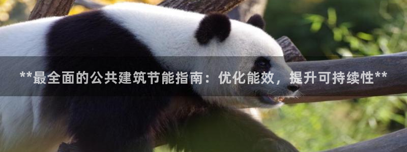 e尊国际的手机登录网站：**最全面的公共建筑节能指南：优化能效，提升可持续性**