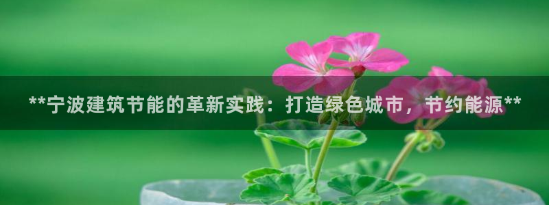 E尊国际网站：**宁波建筑节能的革新实践：打造绿色城市，节约能源**