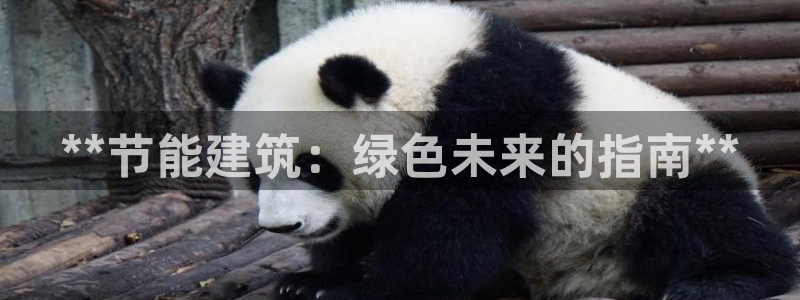 e尊国际地址：**节能建筑：绿色未来的指南**