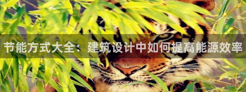 e尊国际app
