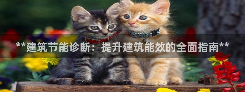 e尊平台：**建筑节能诊断：提升建筑能效的全面指南**