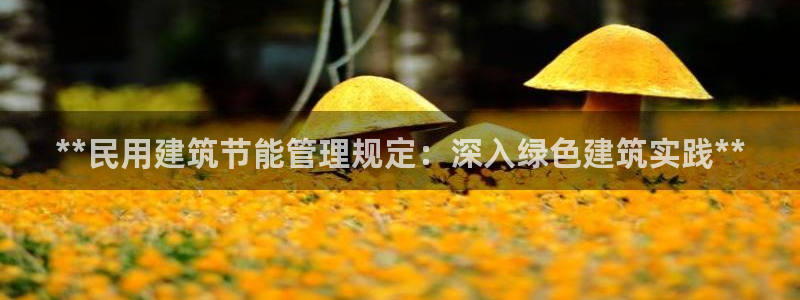 e尊国际官网