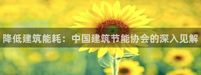 e尊国际官网：降低建筑能耗：中国建筑节能协会的深入见解