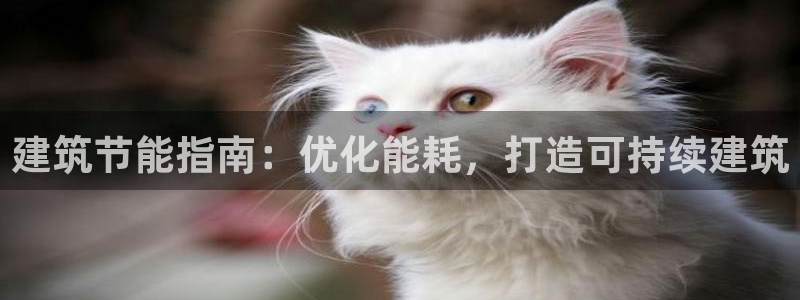 e尊国际可靠吗