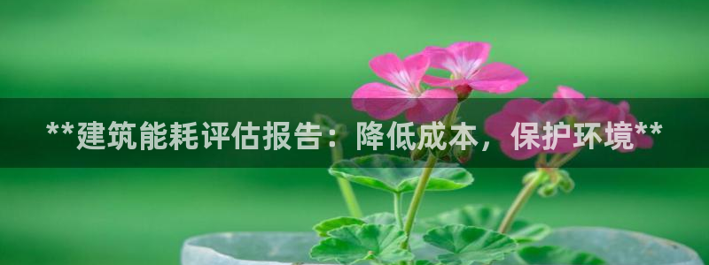 e尊国际官网app：**建筑能耗评估报告：降低成本，保护环境**