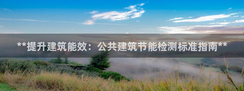 e尊国际地址：**提升建筑能效：公共建筑节能检测标准指南**