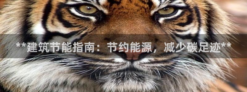 e尊国际的手机登录网站：**建筑节能指南：节约能源，减少碳足迹**