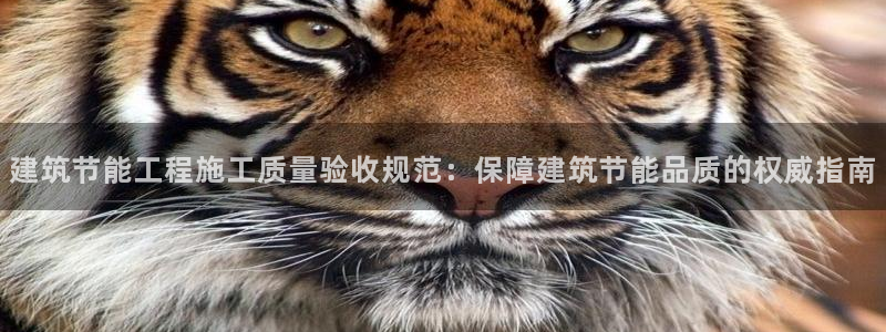 e尊国际-e尊国际官网