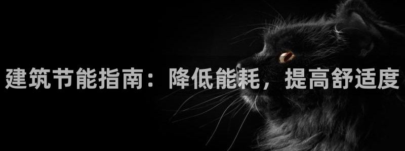 e尊官网：建筑节能指南：降低能耗，提高舒适度