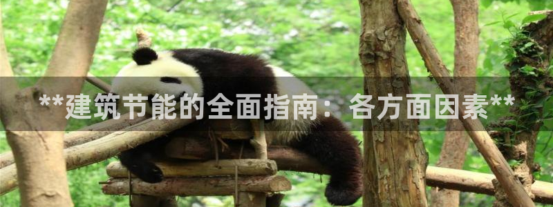 e尊官网