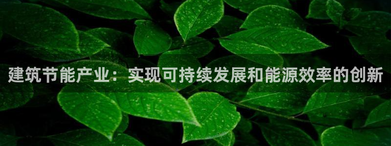 e尊国际-可可计划：建筑节能产业：实现可持续发展和能源效率的创新