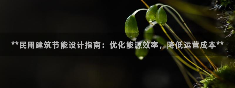 e尊国际官方网站：**民用建筑节能设计指南：优化能源效率，降低运营成本**