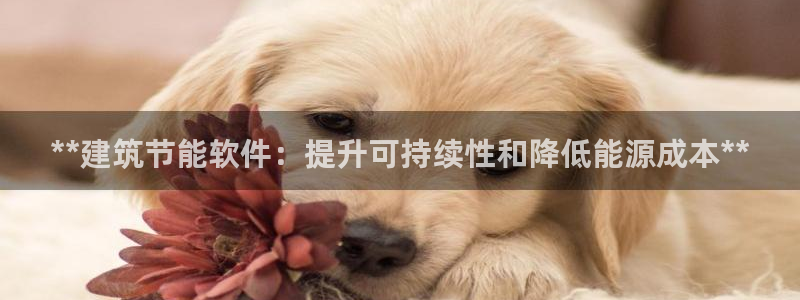 e尊国际是个黑网：**建筑节能软件：提升可持续性和降低能源成本**