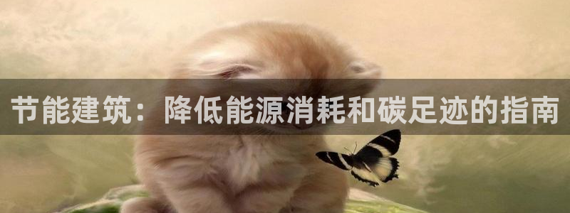 e尊国际7779：节能建筑：降低能源消耗和碳足迹的指南