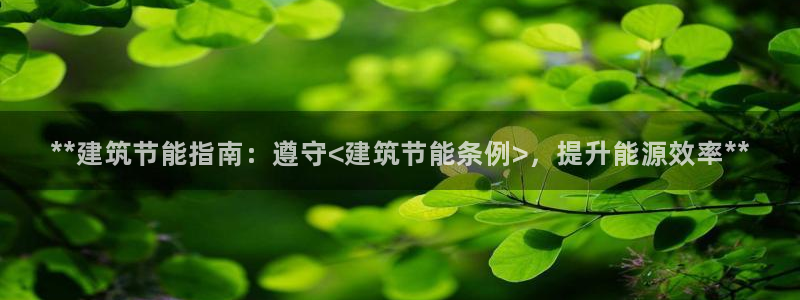 e尊国际-可可计划：**建筑节能指南：遵守<建筑节能条例>，提升能源效率**