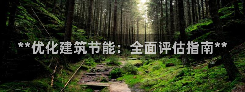 e尊平台：**优化建筑节能：全面评估指南**