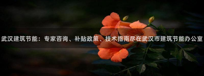 e尊国际客户端：武汉建筑节能：专家咨询、补贴政策、技术指南尽在武汉市建筑节能办公室