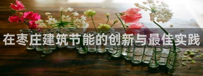 e尊国际官网·网址：在枣庄建筑节能的创新与最佳实践