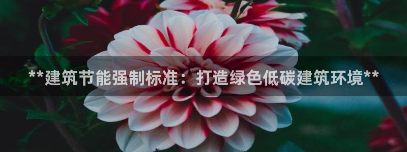 e尊国际-e尊国际官网：**建筑节能强制标准：打造绿色低碳建筑环境**