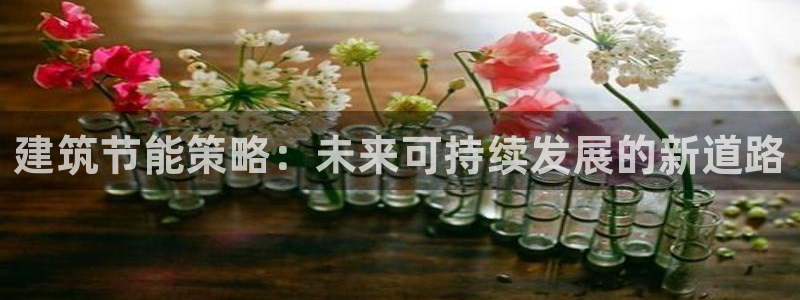 e尊国际地址：建筑节能策略：未来可持续发展的新道路