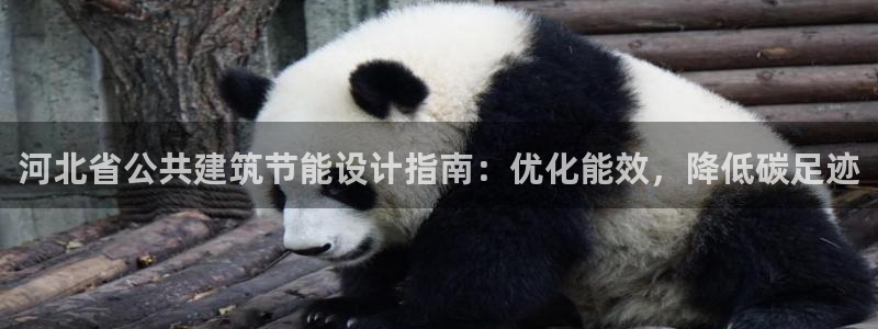 尊亿游戏国际官网：河北省公共建筑节能设计指南：优化能效，降低碳足迹