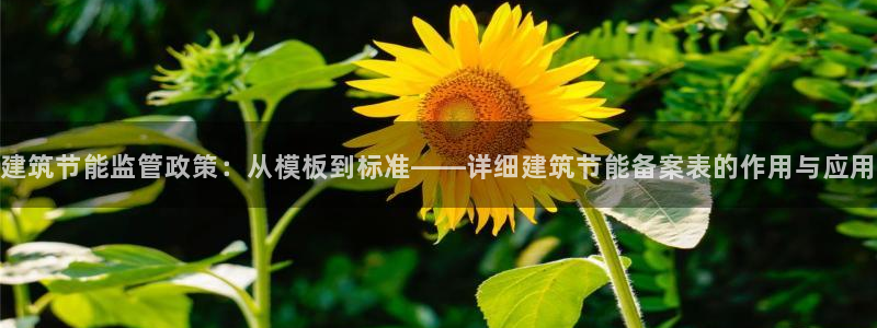 e尊国际是个黑网