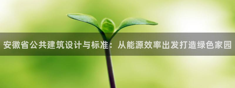 e尊国际客服：安徽省公共建筑设计与标准：从能源效率出发打造绿色家园