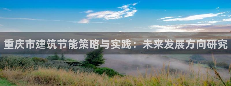 e尊国际平台：重庆市建筑节能策略与实践：未来发展方向研究