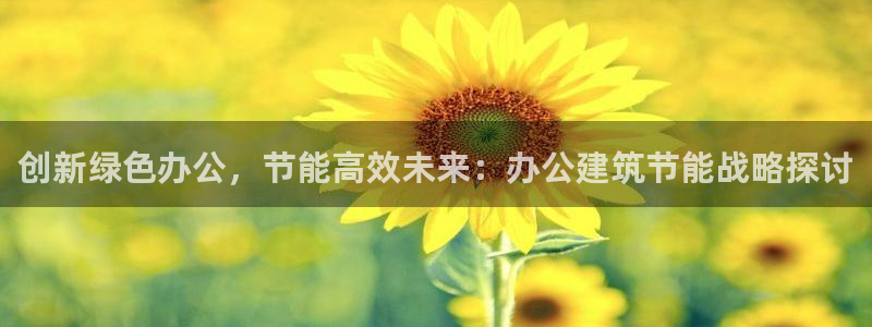 e尊国际网址：创新绿色办公，节能高效未来：办公建筑节能战略探讨